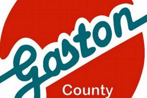 Top Gaston County Jobs & Schools Guide Best Schools in America: Top Public & Private Options Top Gaston County Jobs & Schools Guide | Best Schools in America: Top Public & Private Options