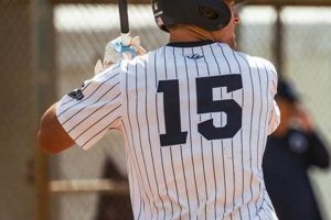 High School Baseball Bats: Wood vs. Metal? | Best Schools in America: Top Public & Private Options