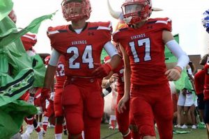 Dulles High School Football: A Texas Gridiron Legacy | Best Schools in America: Top Public & Private Options