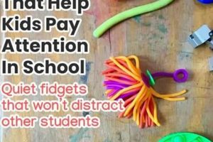 Best Fidget Toys For School | Best Schools in America: Top Public & Private Options