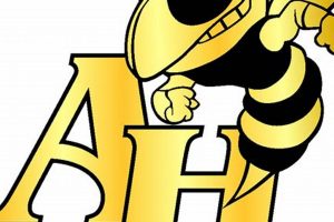 Top Arlington Heights High School Football Teams | Best Schools in America: Top Public & Private Options