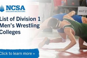 Top 10 Best D1 Wrestling Schools: A Guide | Best Schools in America: Top Public & Private Options