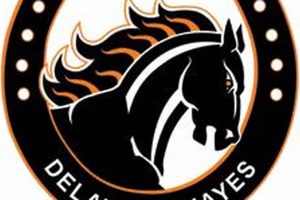 Delaware Hayes HS Basketball: Pacers News & Scores | Best Schools in America: Top Public & Private Options