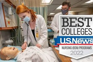 Top Ranked Best BSN Schools: 2024 Guide | Best Schools in America: Top Public & Private Options