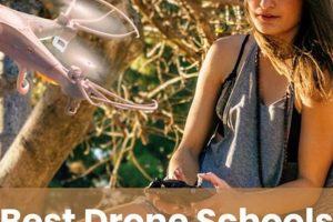 Top 5 Best Drone Schools: 2024 Guide | Best Schools in America: Top Public & Private Options