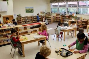 Montessori School High School Best Schools in America: Top Public & Private Options Montessori School High School | Best Schools in America: Top Public & Private Options