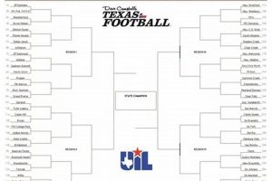 Alabama HS Football Playoffs 2024 Bracket | Best Schools in America: Top Public & Private Options