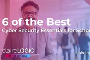Top Best Schools for Cyber Security Degrees 2024 | Best Schools in America: Top Public & Private Options