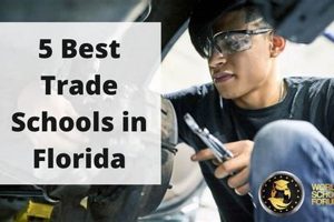 Top Trade Schools in Florida: 2024 Guide | Best Schools in America: Top Public & Private Options