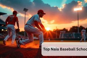 Top NAIA Baseball Schools &amp; Colleges | Best Schools in America: Top Public & Private Options