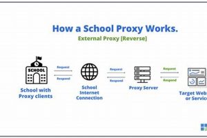 Best School Proxy | Best Schools in America: Top Public & Private Options