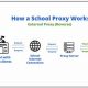 Best School Proxy | Best Schools in America: Top Public & Private Options