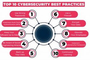Top Best Schools for Cybersecurity Degrees 2024 | Best Schools in America: Top Public & Private Options