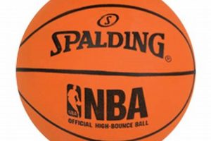 Spalding High School: A Basketball Legacy Best Schools in America: Top Public & Private Options Spalding High School: A Basketball Legacy | Best Schools in America: Top Public & Private Options