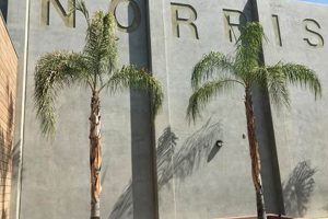 Discover Norris Middle School: A Parent's Guide | Best Schools in America: Top Public & Private Options