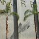 Discover Norris Middle School: A Parent's Guide | Best Schools in America: Top Public & Private Options