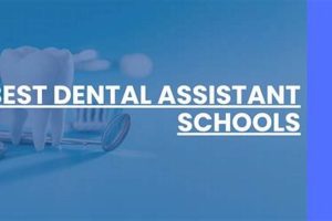 Top 10 Best Dental Assistant Schools: 2024 Guide Best Schools in America: Top Public & Private Options Top 10 Best Dental Assistant Schools: 2024 Guide | Best Schools in America: Top Public & Private Options