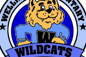 Top Elementary Schools in Wellington, NZ Best Schools in America: Top Public & Private Options Top Elementary Schools in Wellington, NZ | Best Schools in America: Top Public & Private Options