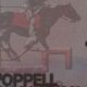 Coppell High School Course Guide | Best Schools in America: Top Public & Private Options