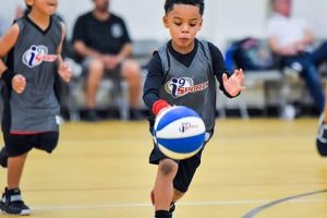 Top Fun Basketball Games for Middle School PE | Best Schools in America: Top Public & Private Options