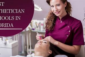 Top US Esthetician Schools: Find Your Best Fit | Best Schools in America: Top Public & Private Options