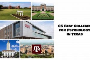 Top Texas Psychology Schools: Best Colleges & Universities Best Schools in America: Top Public & Private Options Top Texas Psychology Schools: Best Colleges & Universities | Best Schools in America: Top Public & Private Options