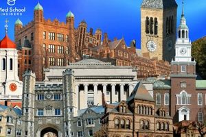 Top Non-Ivy League Medical Schools: Best Choices | Best Schools in America: Top Public & Private Options