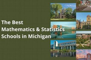 Top 10 Best Statistics Schools: 2024 Rankings | Best Schools in America: Top Public & Private Options