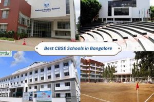 Top 10 Best CBSE Schools in Bangalore 2024 | Best Schools in America: Top Public & Private Options