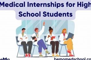 Find Medical Internships for High School Students Near You | Best Schools in America: Top Public & Private Options