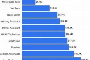 High School Construction Costs: A Detailed Guide | Best Schools in America: Top Public & Private Options