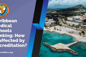 Top Caribbean Medical Schools: Guide & Rankings | Best Schools in America: Top Public & Private Options