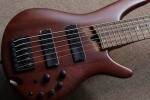 Top 5 Best Affordable 5 String Basses for Beginners Best Schools in America: Top Public & Private Options Top 5 Best Affordable 5 String Basses for Beginners | Best Schools in America: Top Public & Private Options
