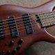 Top 5 Best Affordable 5 String Basses for Beginners | Best Schools in America: Top Public & Private Options