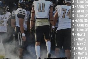 Cleburne High School Football: Yellow Jackets News & Info | Best Schools in America: Top Public & Private Options