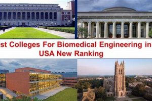 Top 10 Best BME Schools: 2024 Rankings | Best Schools in America: Top Public & Private Options