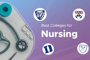 Top Nursing School Resources & Study Guides | Best Schools in America: Top Public & Private Options