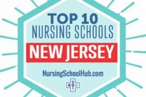 Top 10 Nursing Schools in New England 2024 | Best Schools in America: Top Public & Private Options