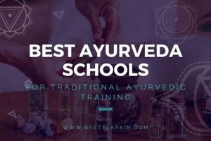 Top Best Ayurveda Schools in the USA 2024 | Best Schools in America: Top Public & Private Options