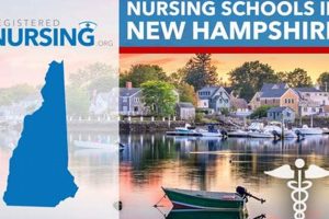 Top Nursing Schools in New Hampshire 2024 | Best Schools in America: Top Public & Private Options