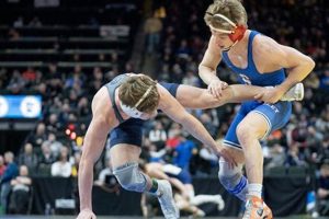 MN High School Wrestling Rankings & Standings | Best Schools in America: Top Public & Private Options