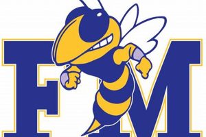 Fort Mill High School Football: A Legacy of Excellence | Best Schools in America: Top Public & Private Options