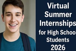 Best Online High School Internships for Teens | Best Schools in America: Top Public & Private Options