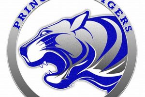 Best Princeton High School Basketball Teams | Best Schools in America: Top Public & Private Options