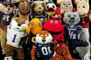 Top 10 Best School Mascots: Ultimate Guide | Best Schools in America: Top Public & Private Options
