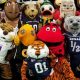 Top 10 Best School Mascots: Ultimate Guide | Best Schools in America: Top Public & Private Options