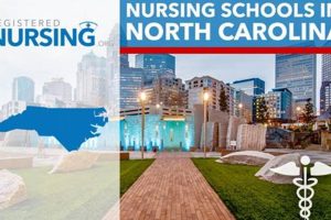 Top Nursing Schools in NC: 2024 Guide | Best Schools in America: Top Public & Private Options