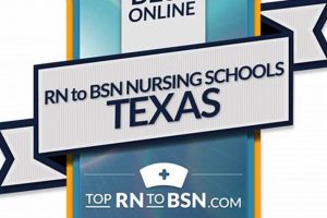 Top Texas BSN Programs: 2024 Guide | Best Schools in America: Top Public & Private Options