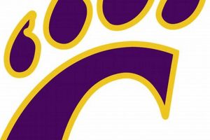 Godley High School Football: Wildcats News & Info | Best Schools in America: Top Public & Private Options