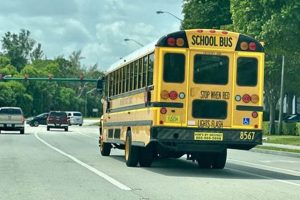 Top Driving Schools in Palm Beach County, FL | Best Schools in America: Top Public & Private Options